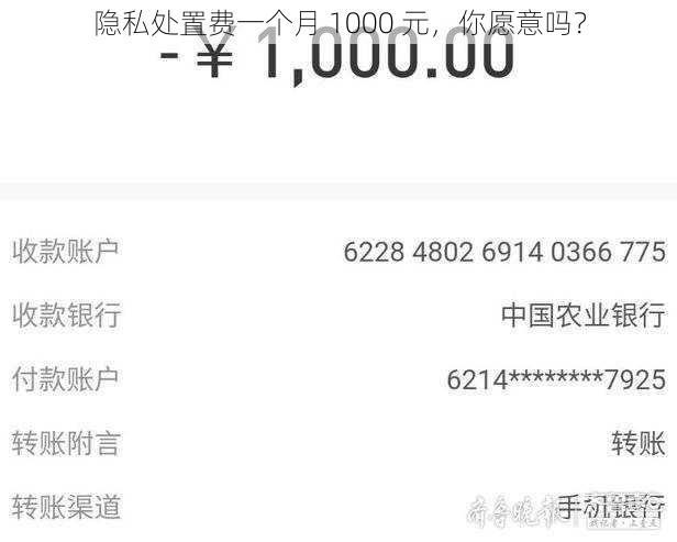 隐私处置费一个月 1000 元，你愿意吗？