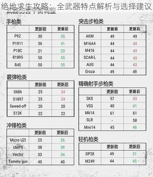 绝地求生攻略：全武器特点解析与选择建议